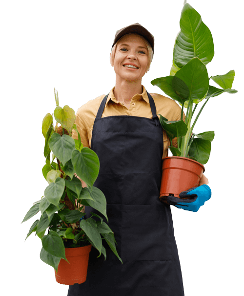 Contactar Rusnak Garden